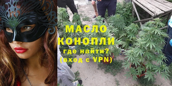 крисы Армянск