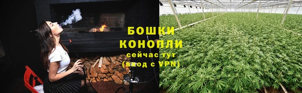крисы Армянск